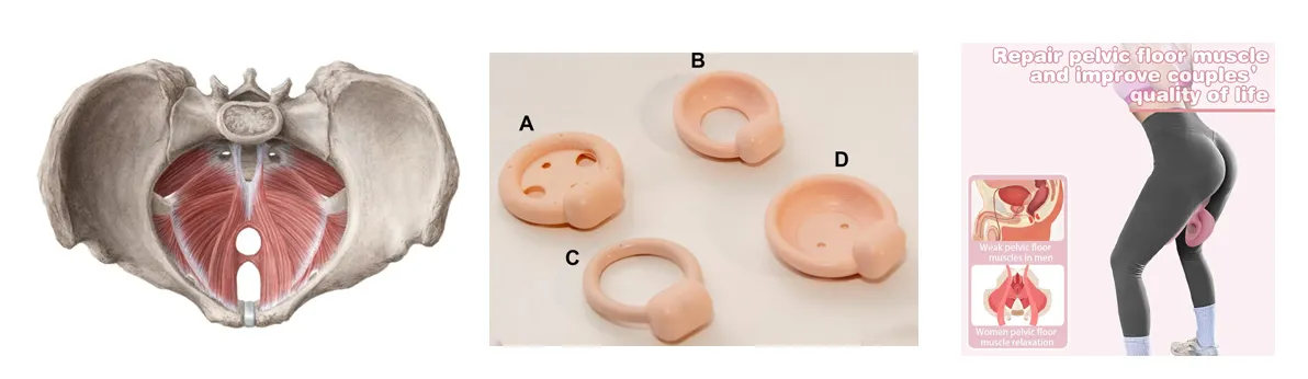 Frequently Asked Questions Section